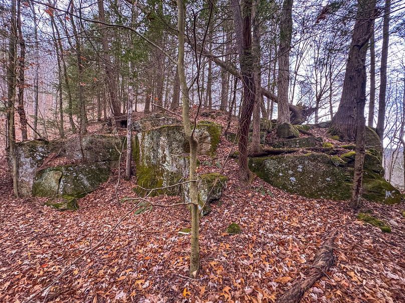 Ritchie, WV 15.5 AC Harper-02