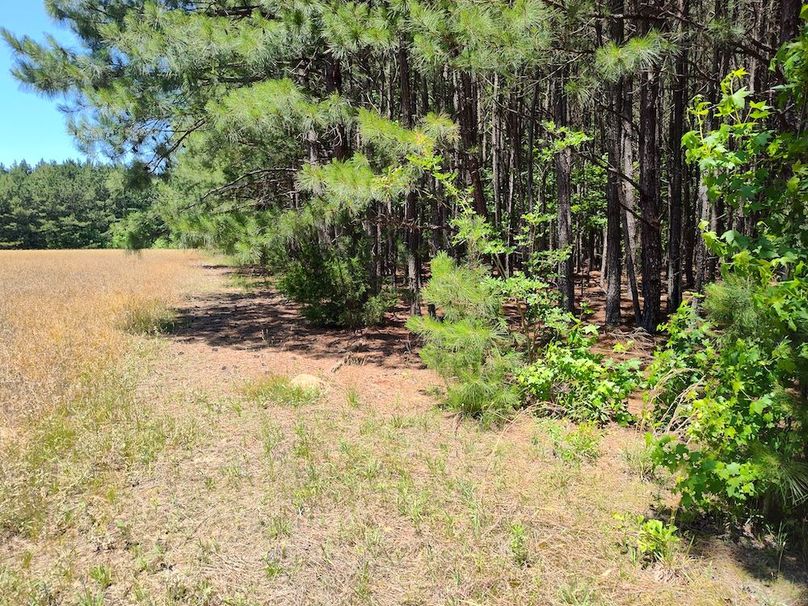 IMG_20250524_124459982_HDR