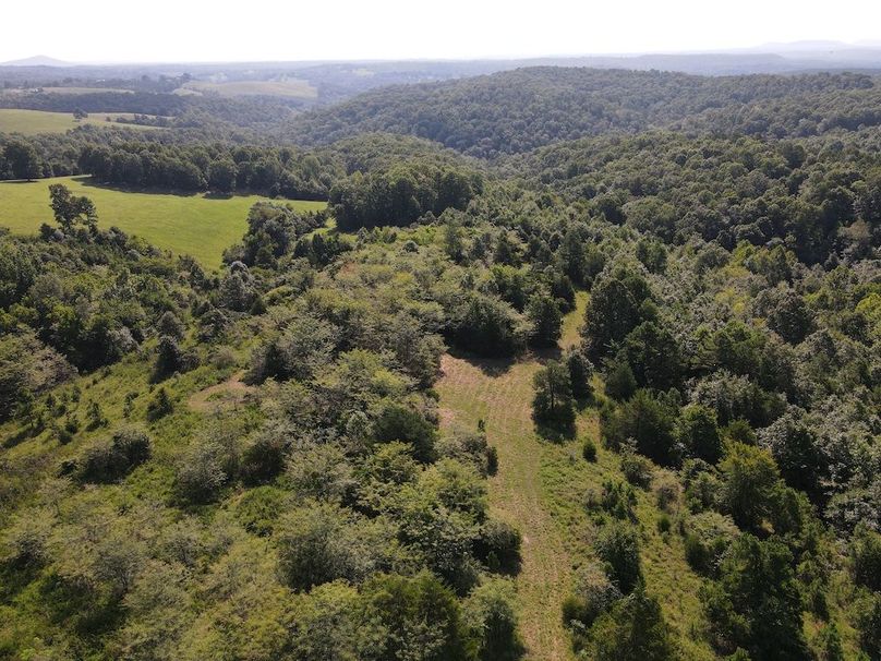 dji_fly_20240808_095214_299_1723128745012_photo