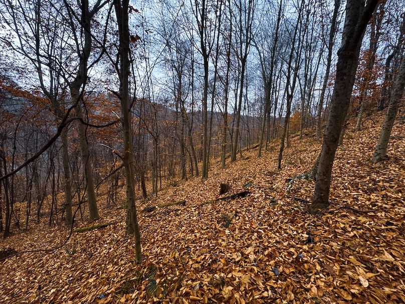 Ritchie, WV 100 AC Harper-19