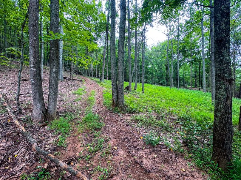 Tyler, WV 46 Lemasters -09