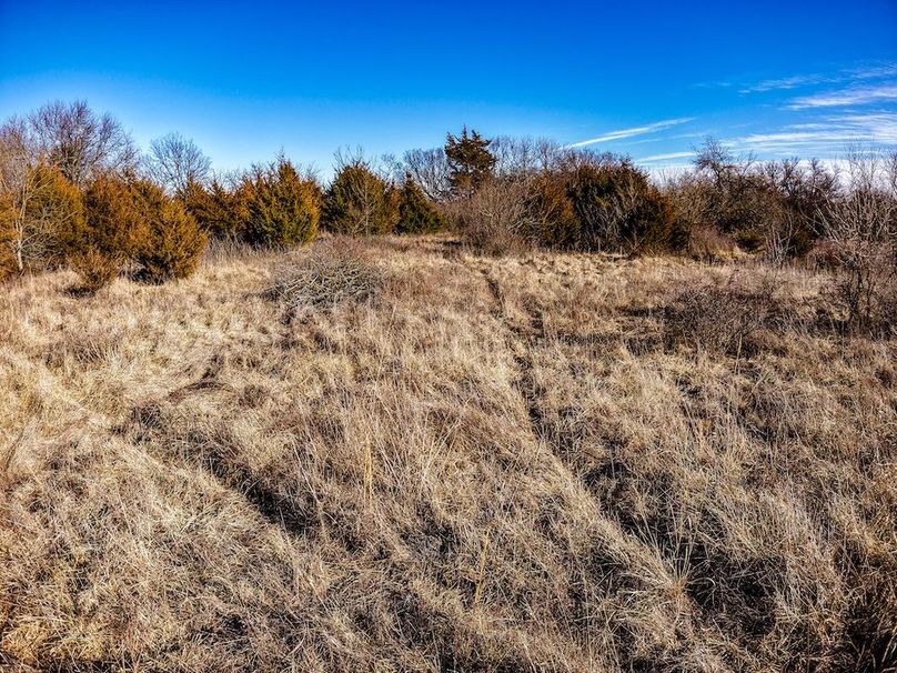 DJI_20260119145347_0847_D