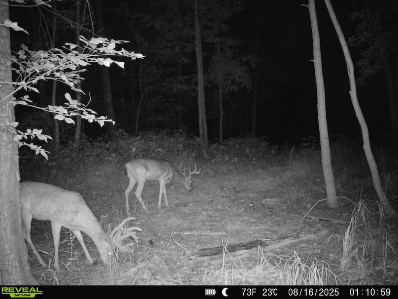 860516068101389-100-2-08162025093232-HD-SYFW0471