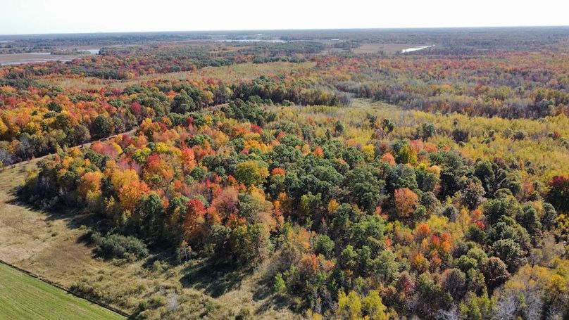 dji_fly_20241010_133502_428_1728585632390_photo_optimized