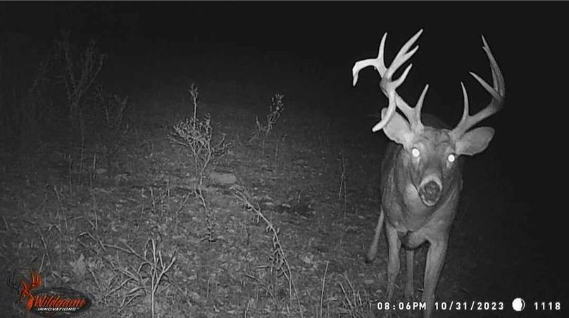 received_302166136306037