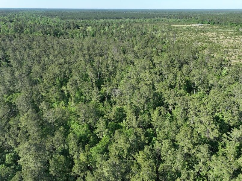 dji_fly_20250416_182616_164_1744908660230_photo