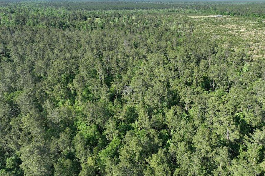 dji_fly_20250416_182616_164_1744908660230_photo