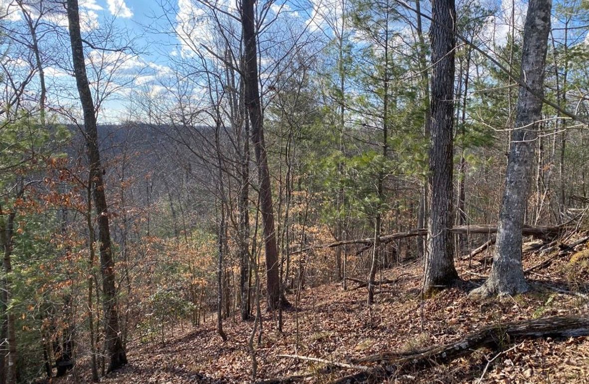 001 view from the top of the ridge and eastern corner of the property