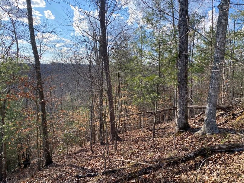 001 view from the top of the ridge and eastern corner of the property