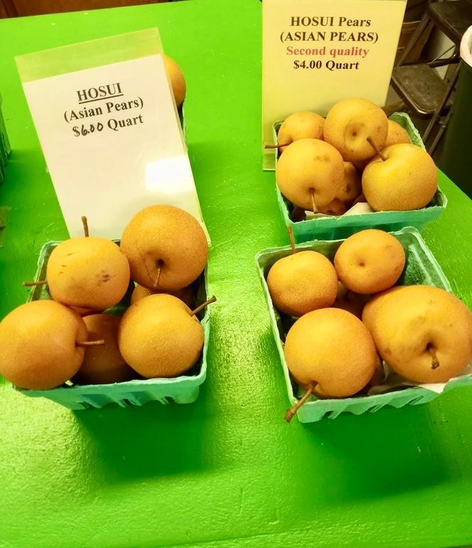 Apples5