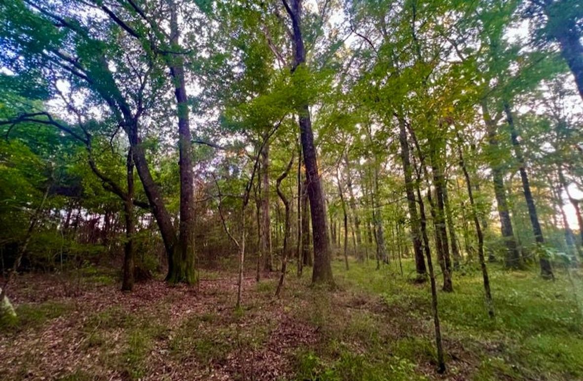 1DC52FE3-4377-4A15-A96A-B55EAF88A0E2_1_105_c