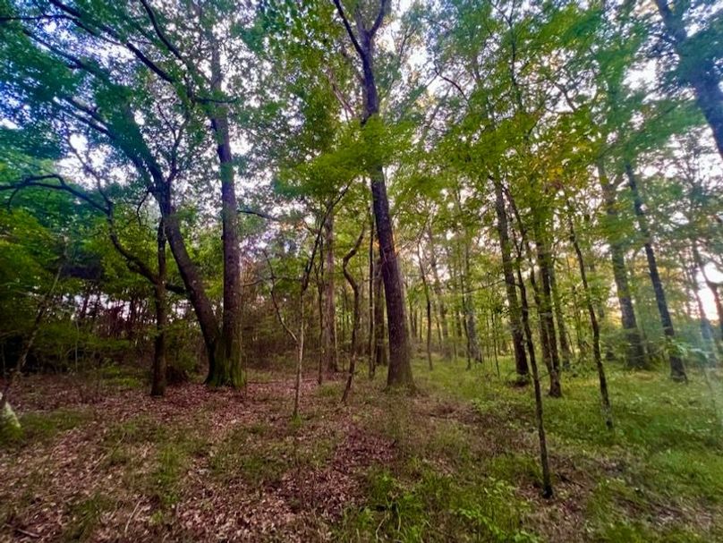 1DC52FE3-4377-4A15-A96A-B55EAF88A0E2_1_105_c