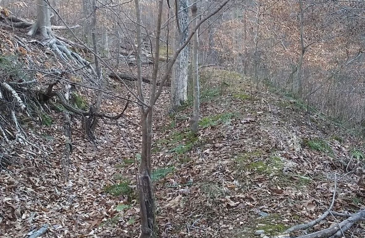 20210109_154202_HDR