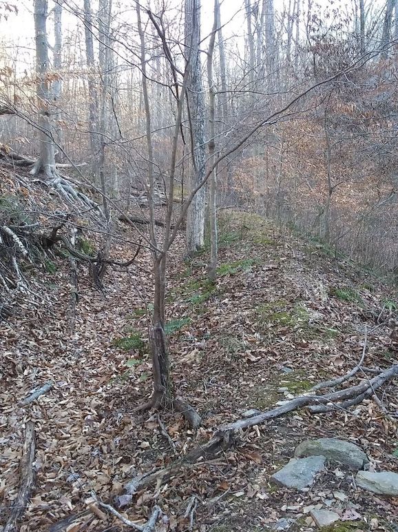 20210109_154202_HDR
