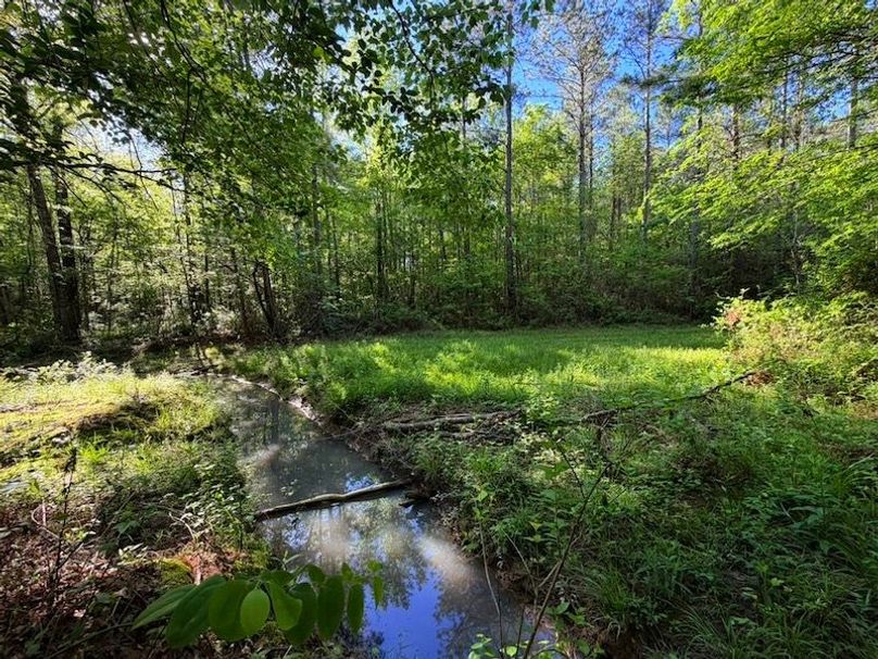 56031F70-1BC7-45E0-9E0F-B41F8D6C1373_1_105_c