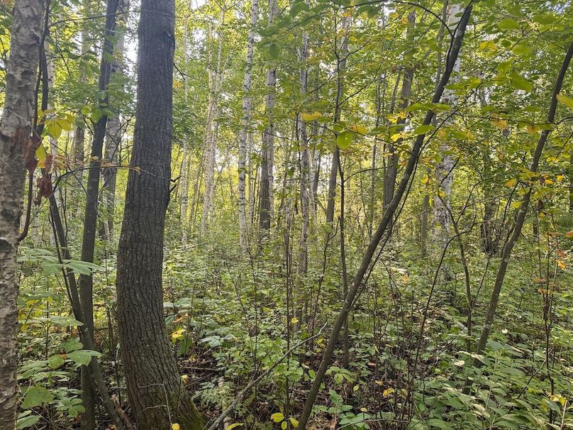 Pantzke Ground Photos-20