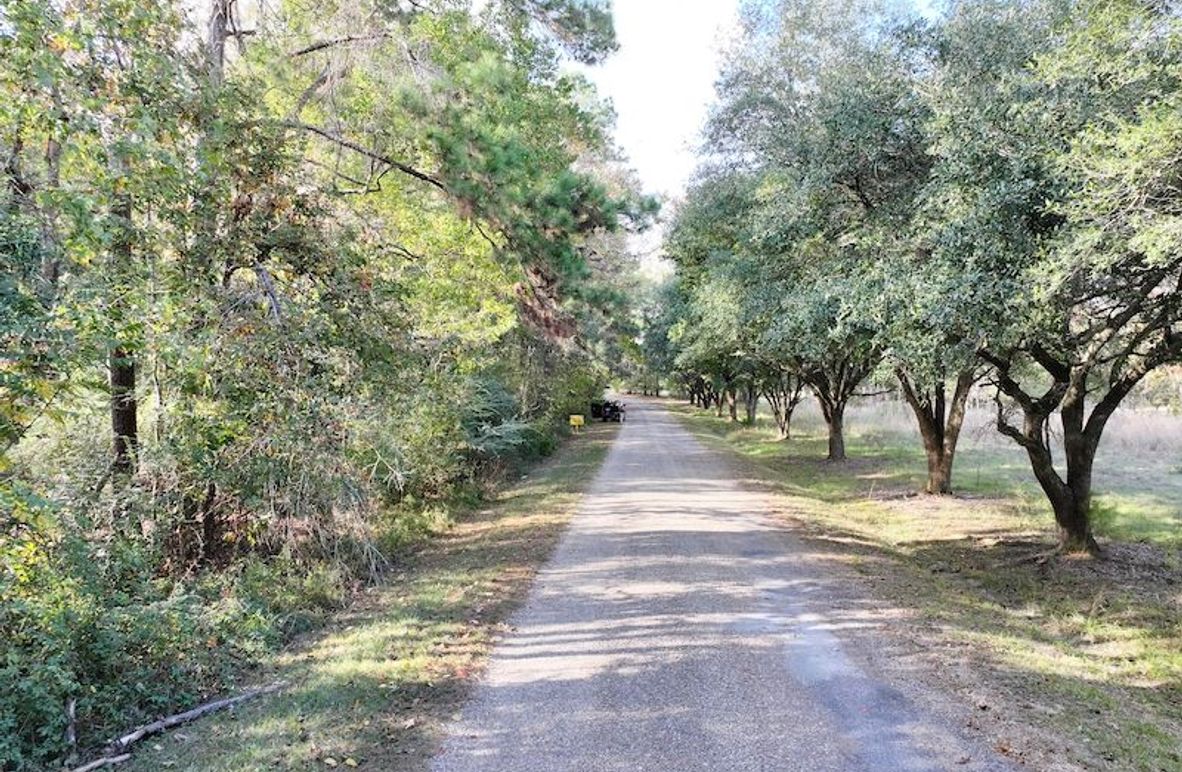 dji_fly_20251118_150952_0737_1763560716156_photo