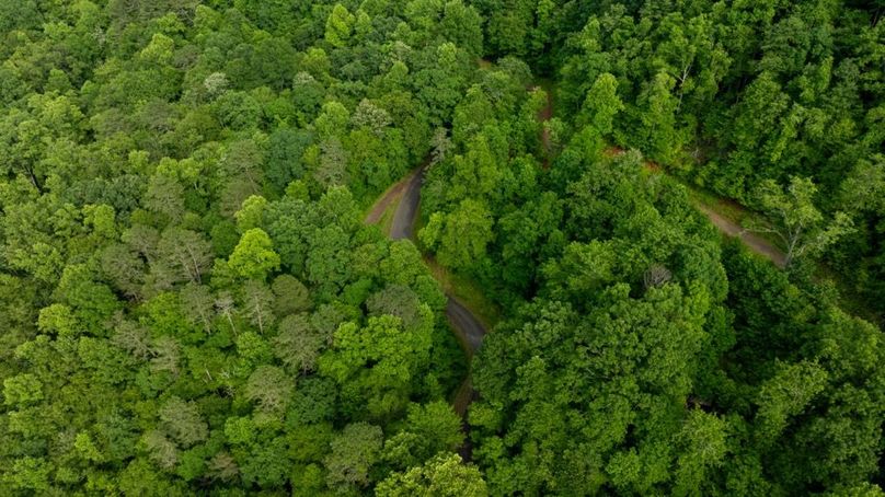 62 Featured_ProPhoto-76