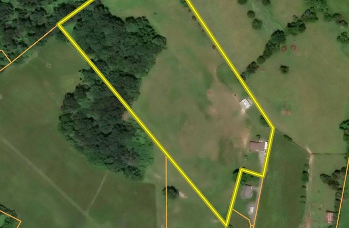 C0CE8951-26F7-4367-B787-51B9E695D283