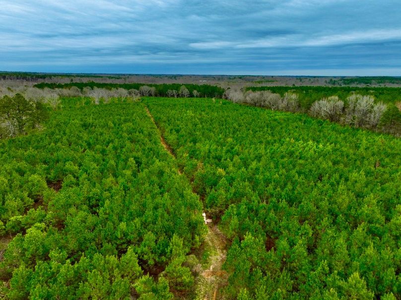 AB2C3522-769E-422A-A74D-2411B4CBB8D0_1_105_c