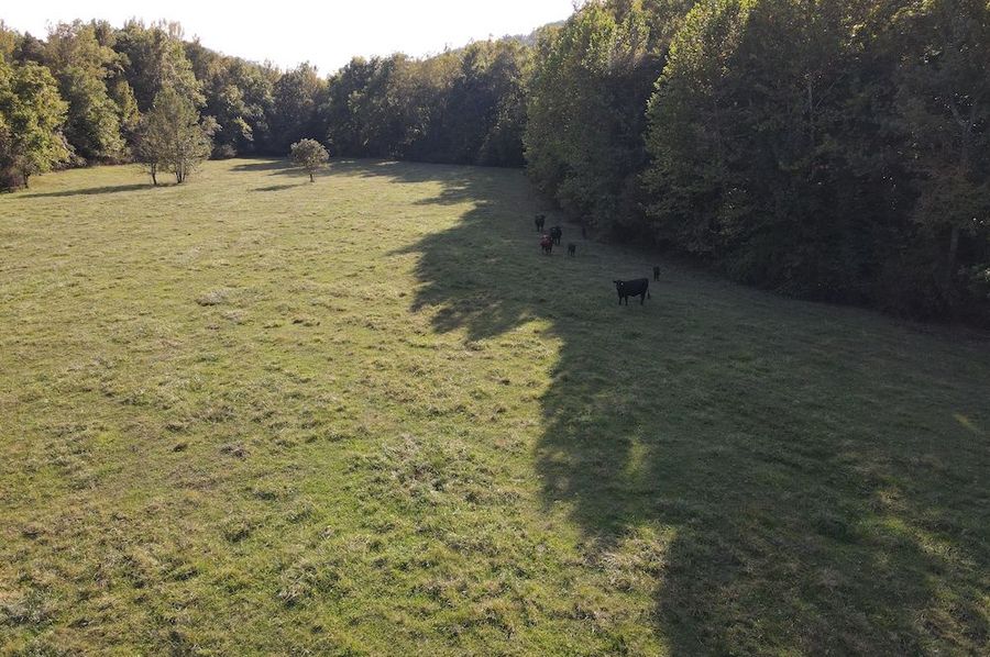 DJI_0471