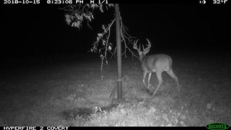 2018-10-15 20-23-06 M 1_1