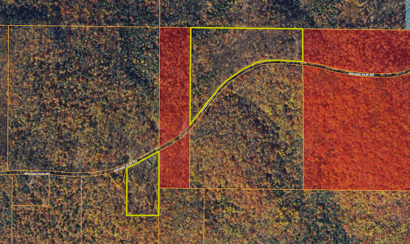 5 Screenshot 2024-02-20 at 12.46.35 PM