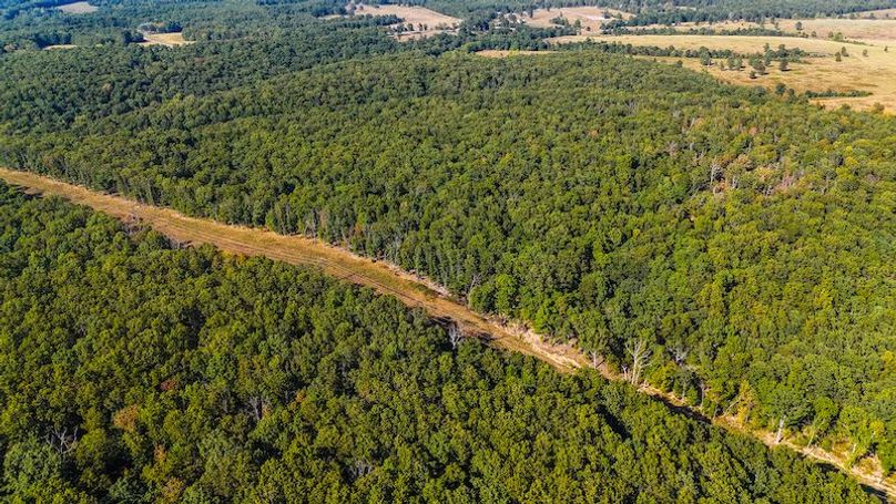 DJI_20250905042840_0080_D