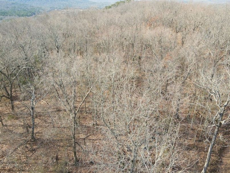 DJI_0628