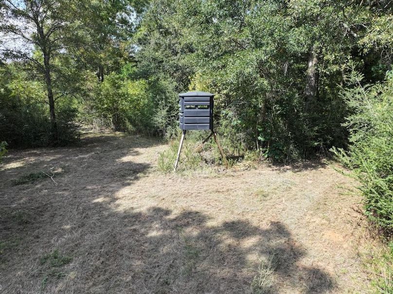 dji_fly_20250915_151006_0463_1758029015012_photo