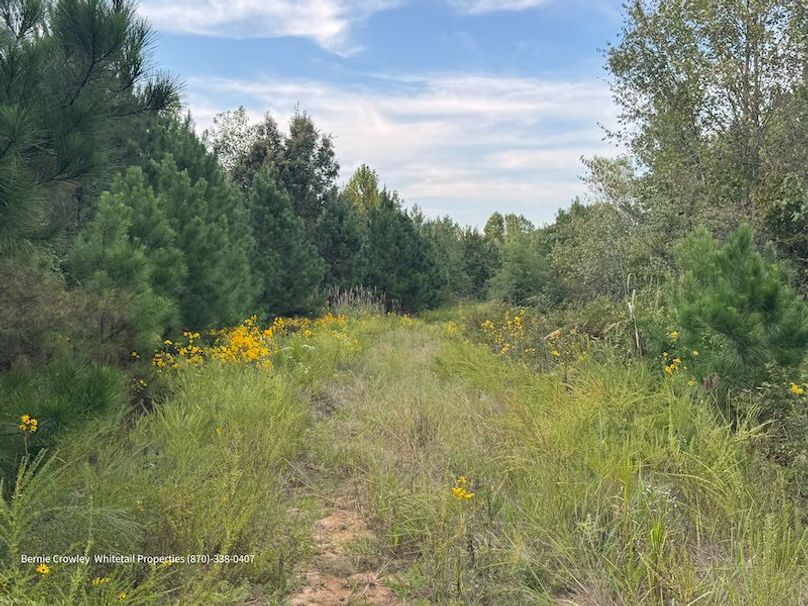 DeSoto 329 Prewett (Thompson) -28