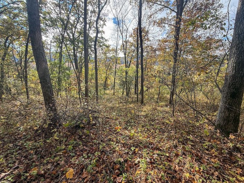 Houston 24.97 Updated-38