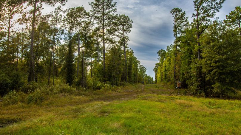 13 Upshur Co 603 ac Weise