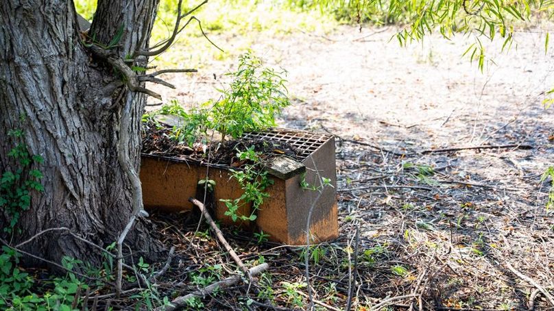 MadisonParLa1372-115