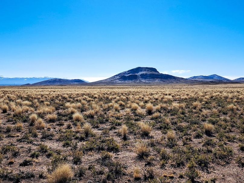 7462430148164076408 2