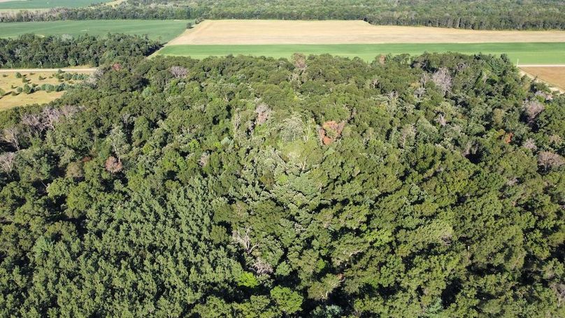 dji_fly_20240810_081716_312_1724082422670_photo_optimized