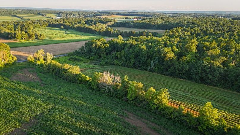 Copy of Wood Tract 1 Photo 5