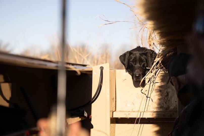 Neosho Duck Property-53