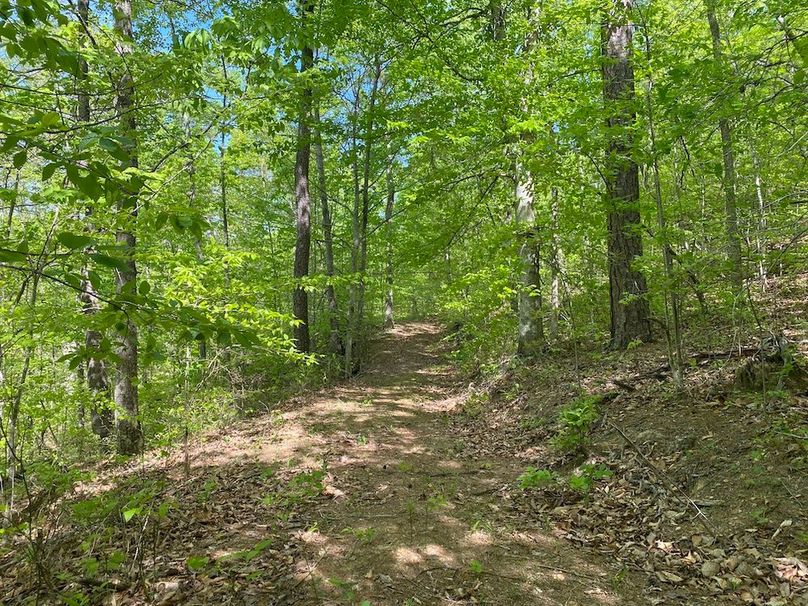 015 the meandering ATV trails that lead about the property copy