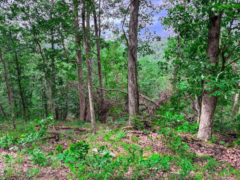 Wirt, WV 137.45 AC Full-17