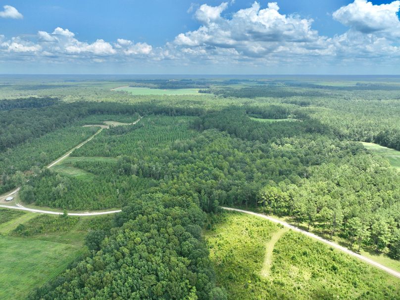 dji_fly_20230731_133144_455_1690845661533_photo