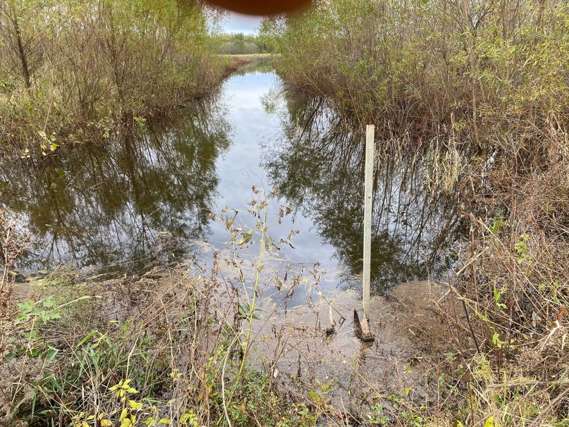 pics from late 2021 and early 2022. New plots being planted in Aug 2023 for new pics (37)