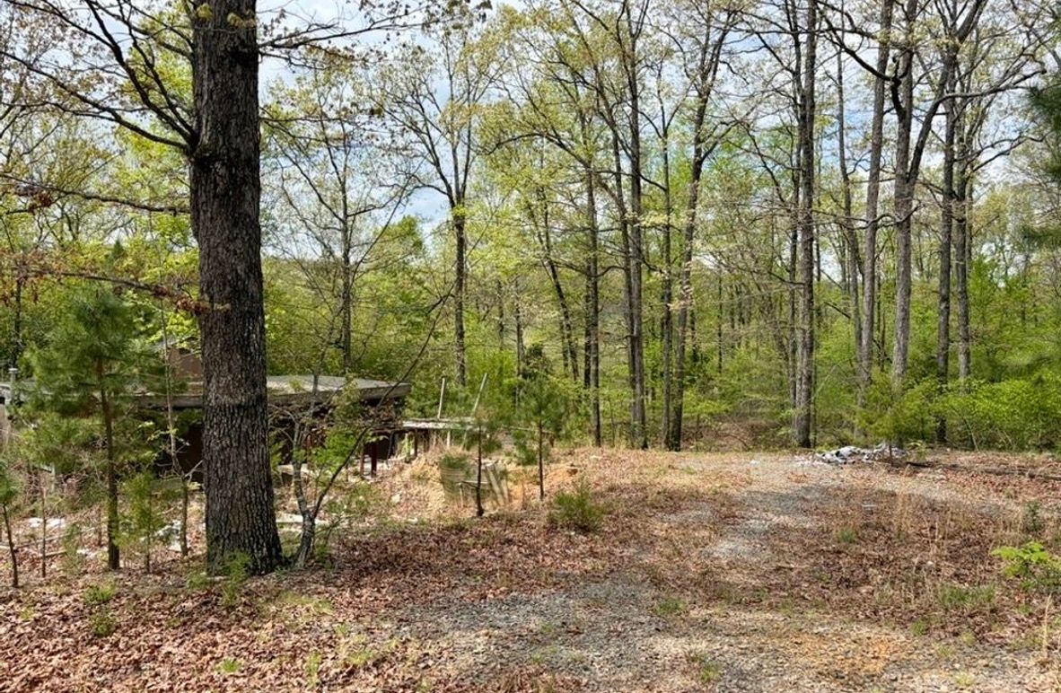 1C86C2BF-6510-438A-9AC2-1F282CB256F3_1_105_c-2