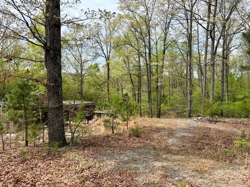 1C86C2BF-6510-438A-9AC2-1F282CB256F3_1_105_c-2