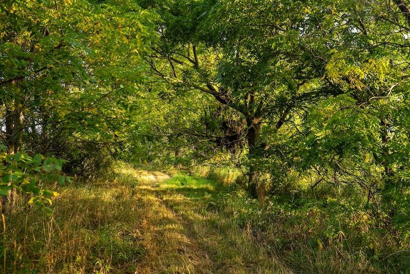 Lapeer MI 170 Featured_Pro Photo-103