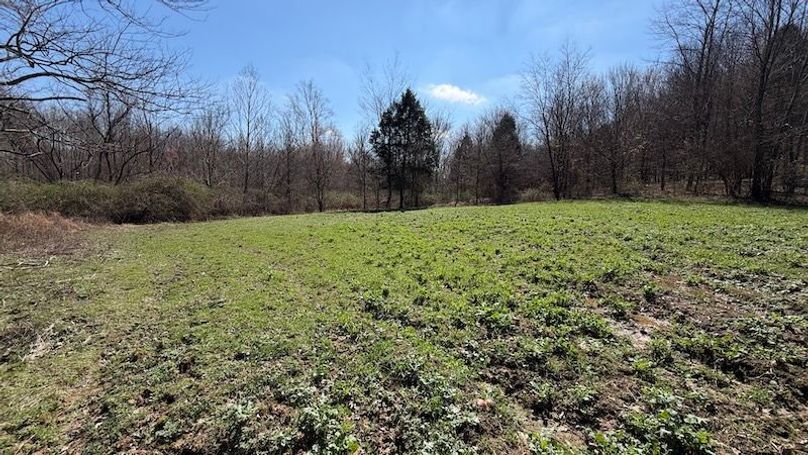 Butler 118 Capella32