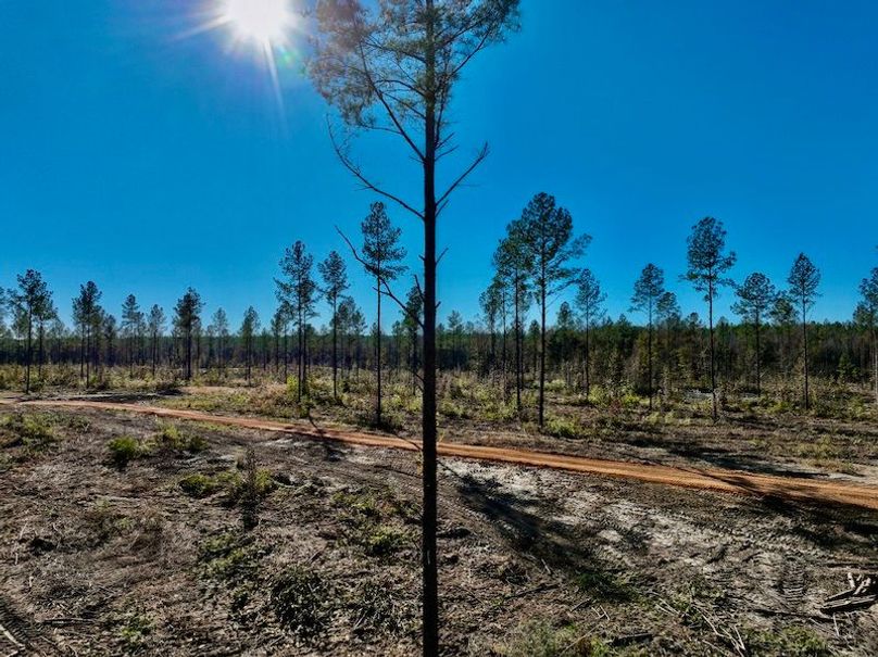 39927318-9418-49AD-AF30-188DE56A7516_1_201_a