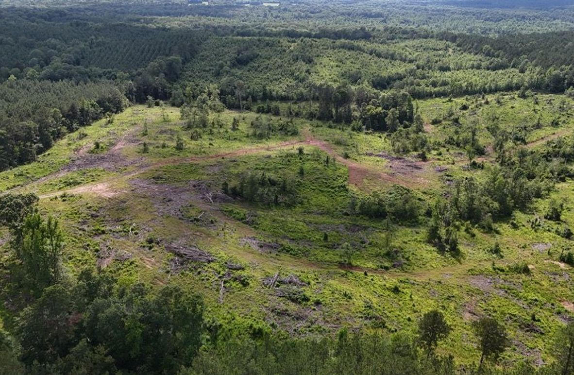 DJI_20250528053044_0504_D