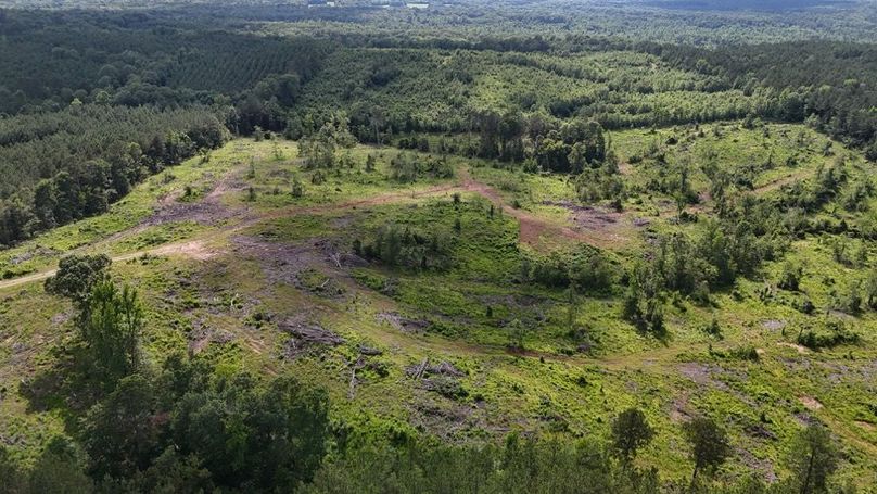 DJI_20250528053044_0504_D