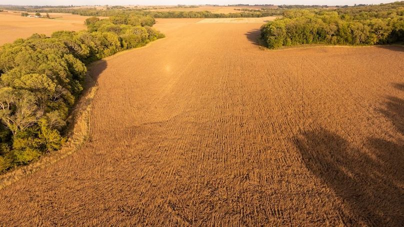 Copy of POTTAWATTAMIE CO IA 311 TRACT 3_40